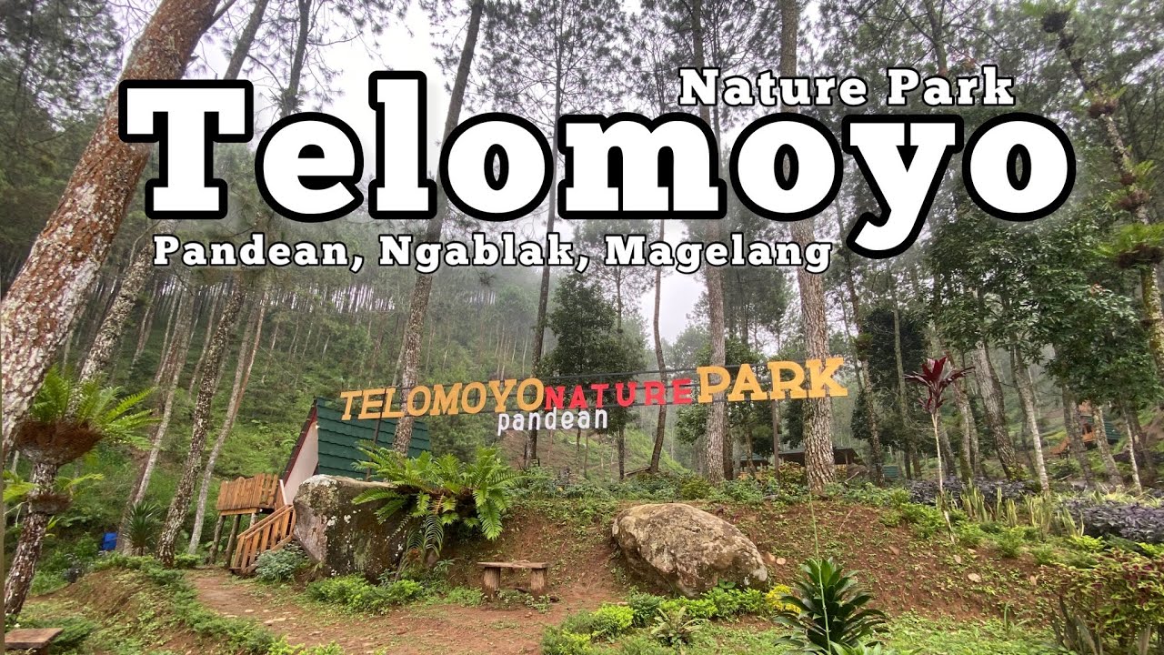 Telomoyo Nature Park: Petualangan Menakjubkan di Alam Jawa Tengah